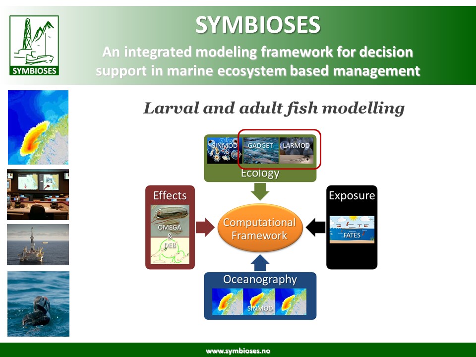 DH ABA Fish modelling presentation