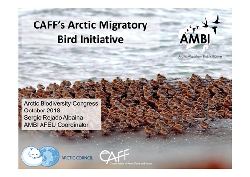 The Arctic Migratory Bird Initiative (AMBI) – international cooperation for Arctic breeding migratory birds: successes and challenges of the first 4 years: Evgeny Syroechkovskiy