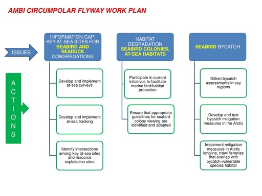 Gilchrist Circumpolar flyway plan issues actions poster