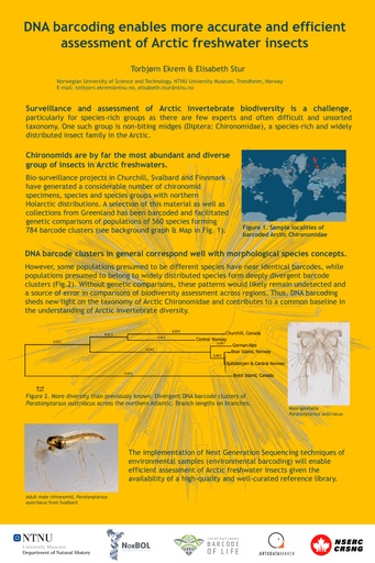 DNA barcoding enables more accurate and efficient assessment of Arctic freshwater insects