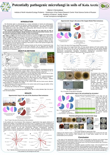 Рotentially pathogenic microfungi in soils of Kola Arctic