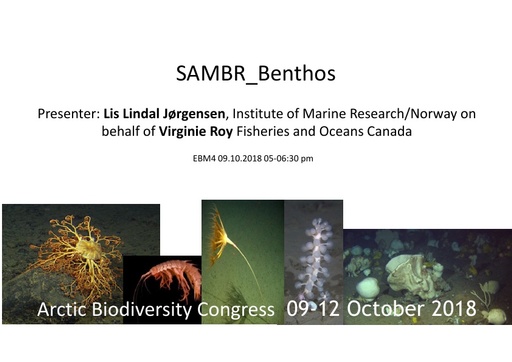 Benthos key findings and information gaps: Lis Lindal Jorgensen