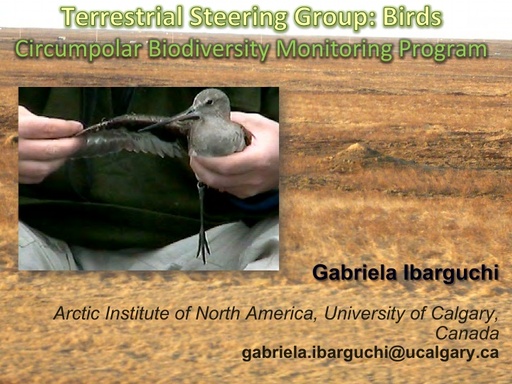 IBARGUCHI CBMP Terrestrial Birds  ABC Ibarguchi  Dec3 1pm SanSiro1