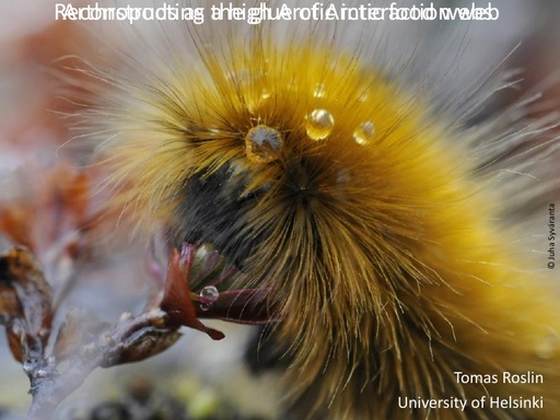 Roslin arthropod webs FINAL