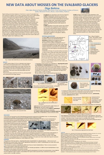 New data about mosses on the Svalbard glaciers